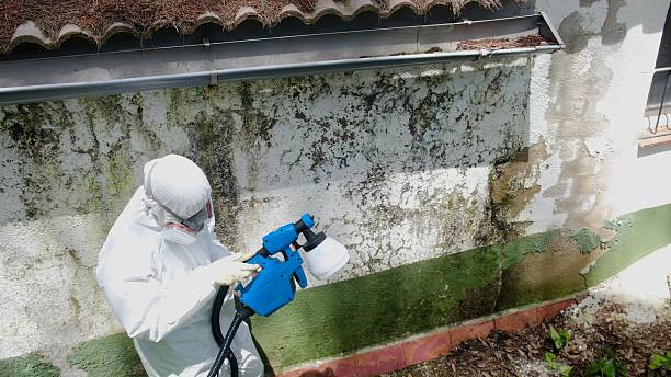 Trusted Mold Testing service in Mechanicsburg, PA - Cheap Mold Removal